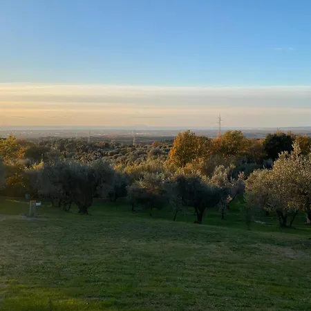 Villa Blick Guardistallo Esterno foto