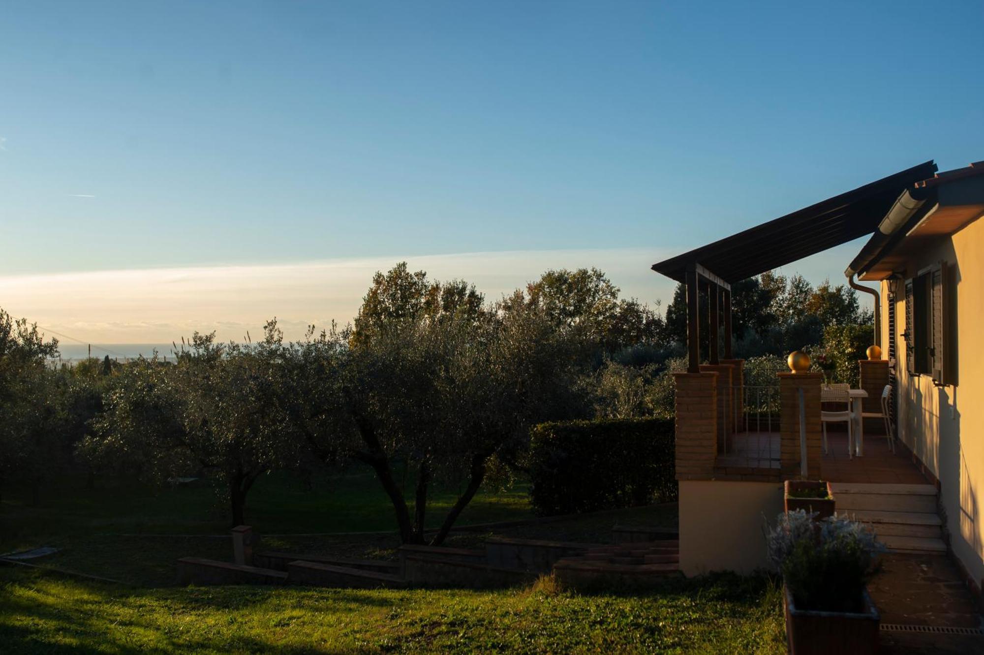 Blick Guardistallo
