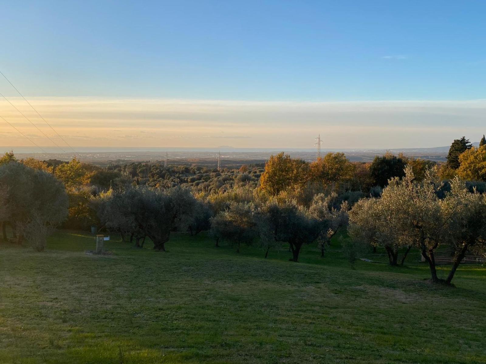 Holiday home Blick *